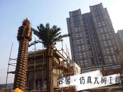 免费视频91蜜桃大树