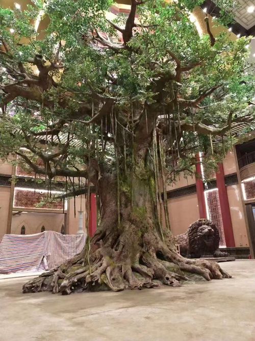 免费视频91蜜桃假树